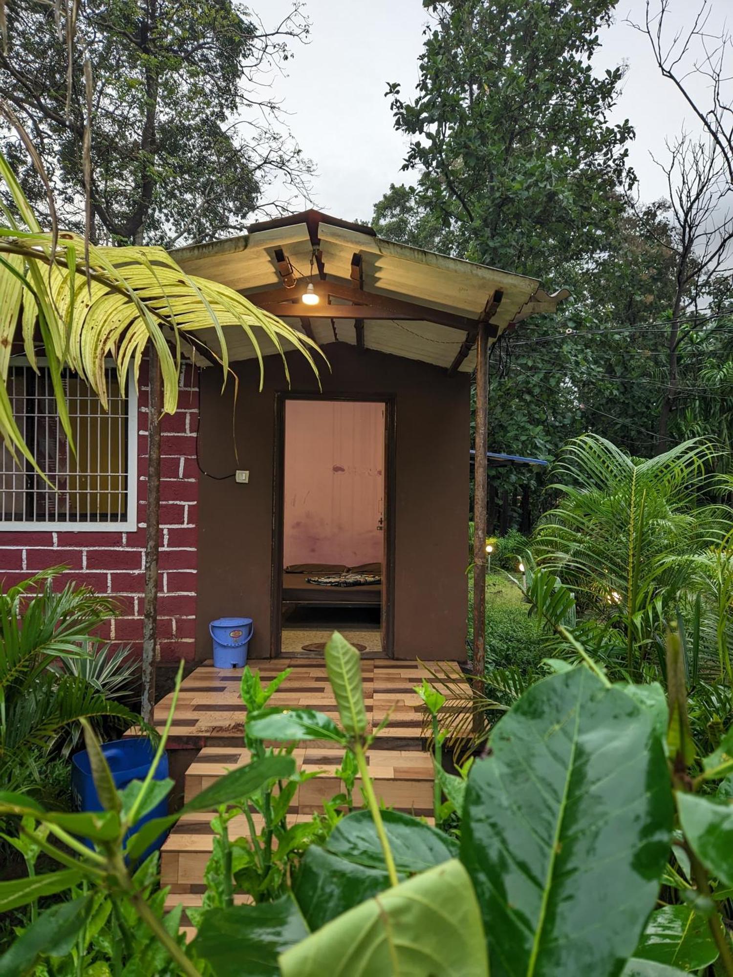 Sunbird Jungle Stay Дандели Экстерьер фото
